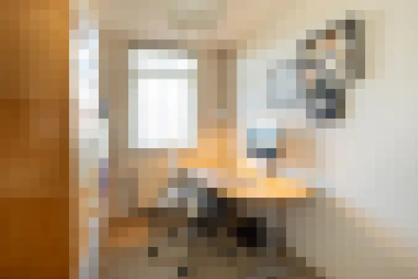 Jonkheer Sixhof 19 Kortenhoef thumbnail 20
