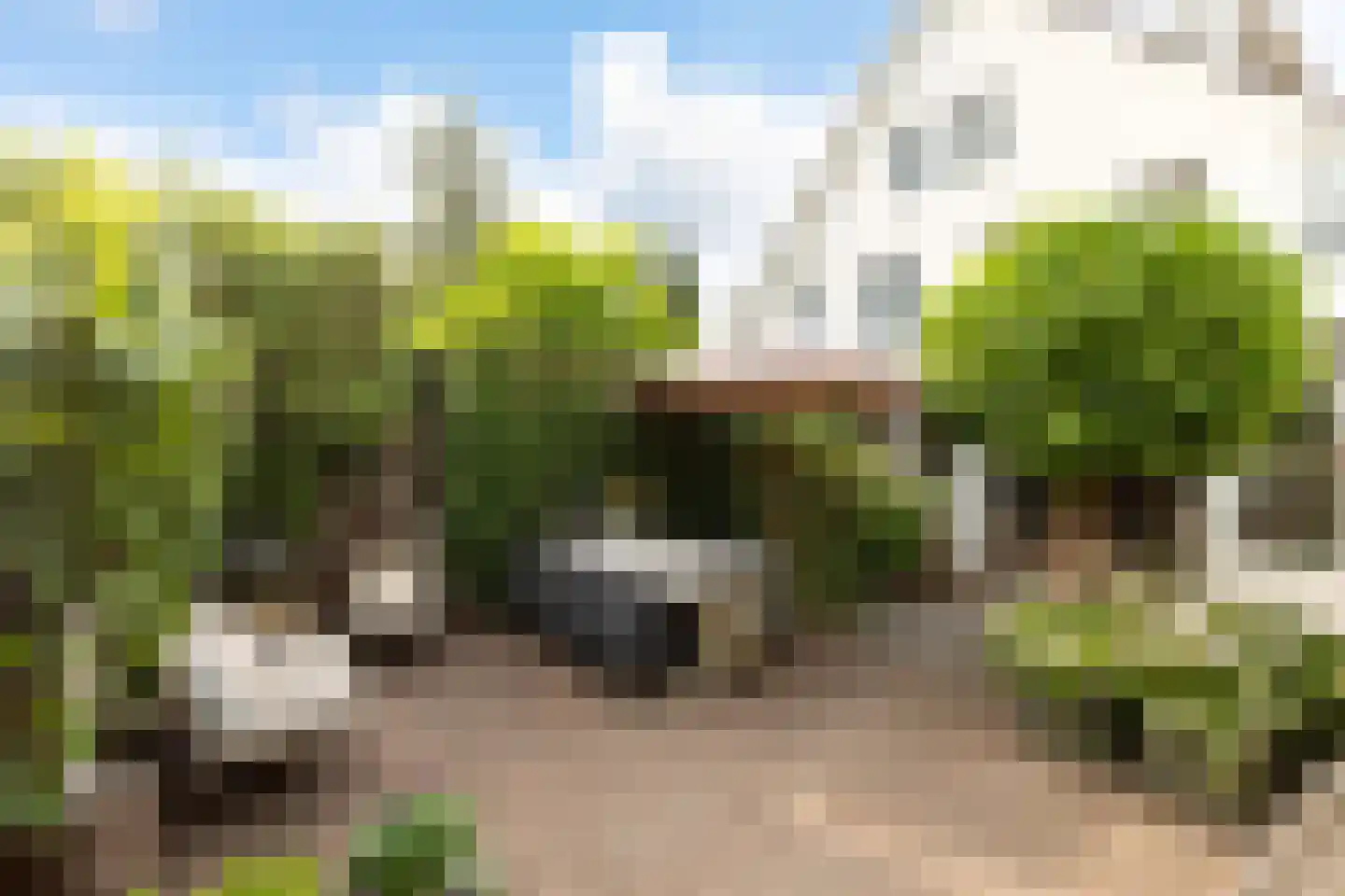Jonkheer Sixhof 19 Kortenhoef thumbnail 4