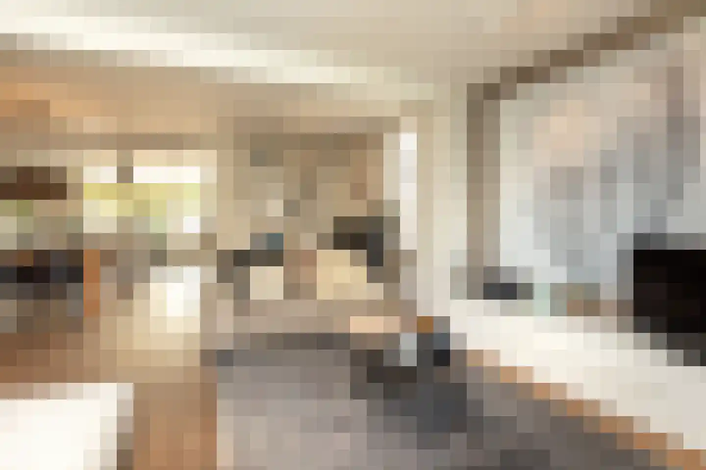 Jonkheer Sixhof 19 Kortenhoef thumbnail 7