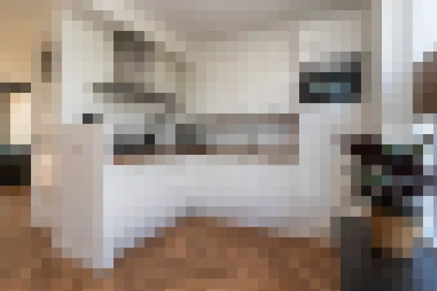 Jonkheer Sixhof 25 Kortenhoef thumbnail 11