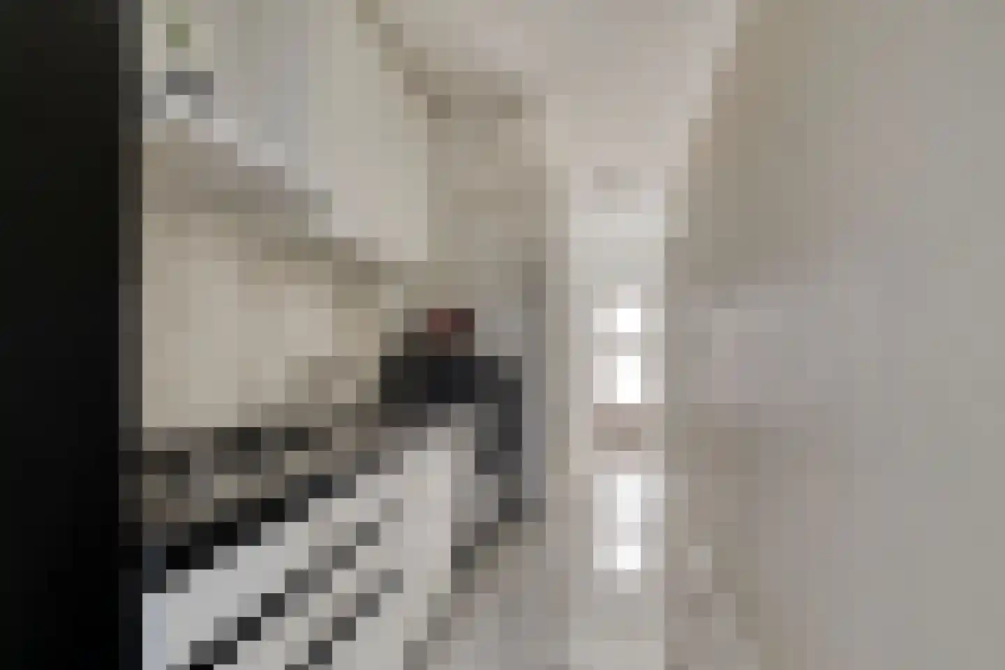 Jonkheer van Cittersplein 18 Purmerend thumbnail 5