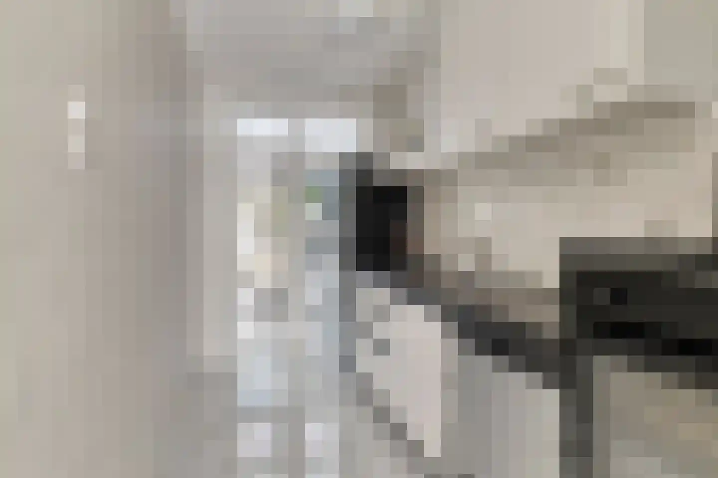 Jonkheer van Cittersplein 18 Purmerend thumbnail 6