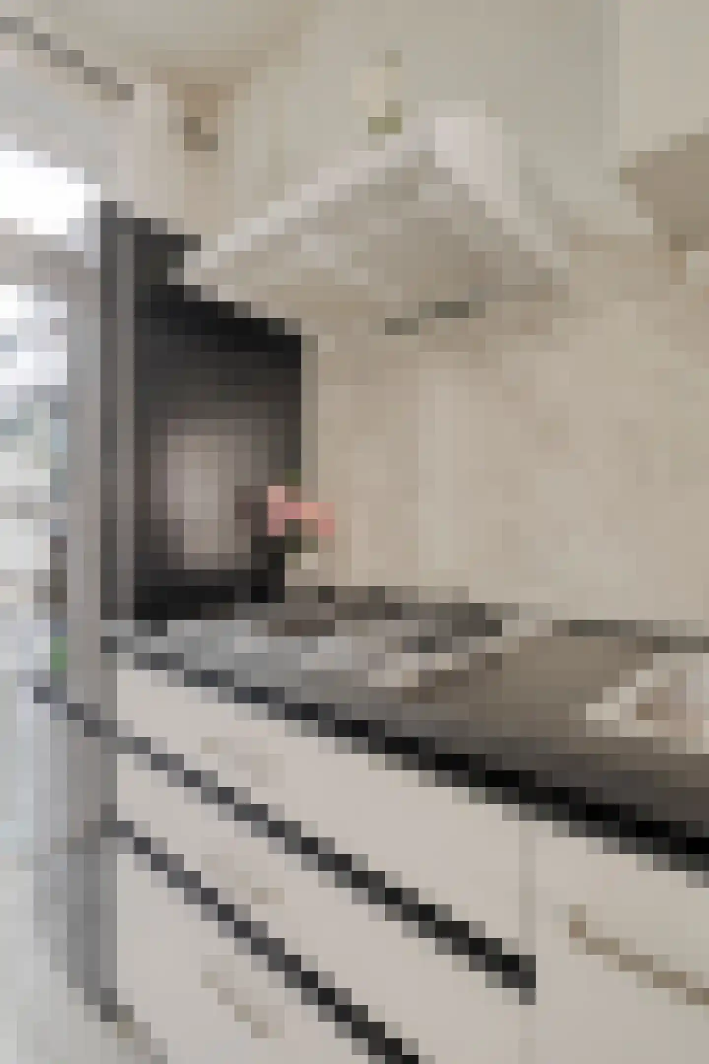 Jonkheer van Cittersplein 18 Purmerend thumbnail 7
