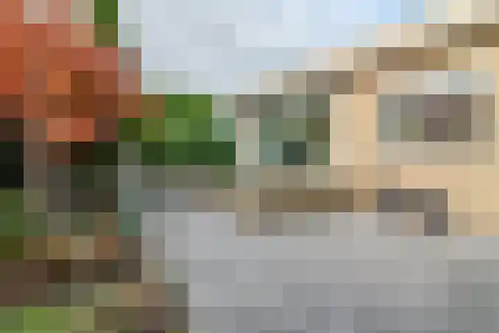 Jonkheer van Cittersplein 212 Purmerend thumbnail 23