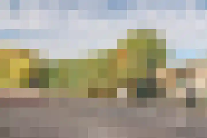 Jonkheer van Cittersplein 212 Purmerend thumbnail 24
