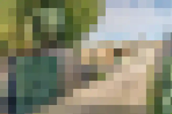 Jonkheer van Cittersplein 212 Purmerend thumbnail 25