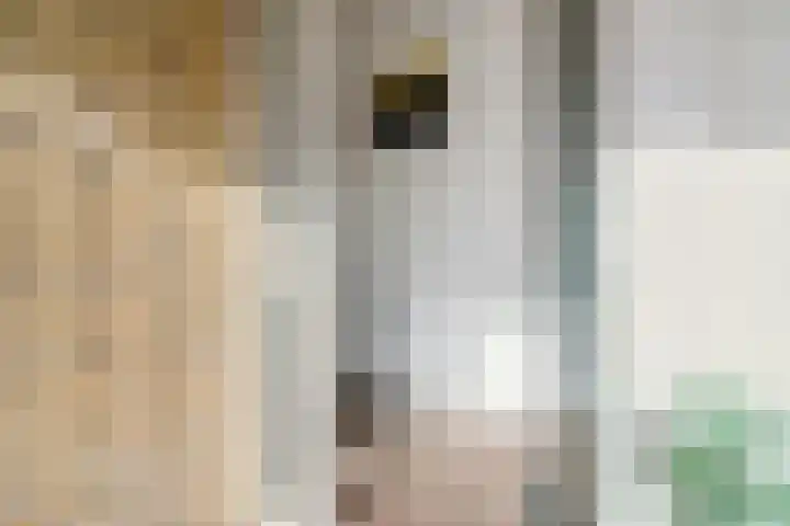 Jonkheer van Cittersplein 212 Purmerend thumbnail 26