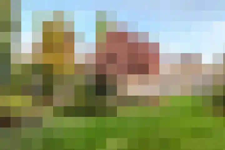 Jonkheer van Cittersplein 212 Purmerend thumbnail 28