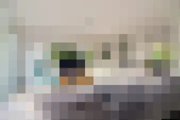 Jonkheer van Cittersplein 212 Purmerend thumbnail 5
