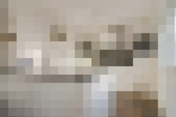 Jonkheer van Cittersplein 212 Purmerend thumbnail 9