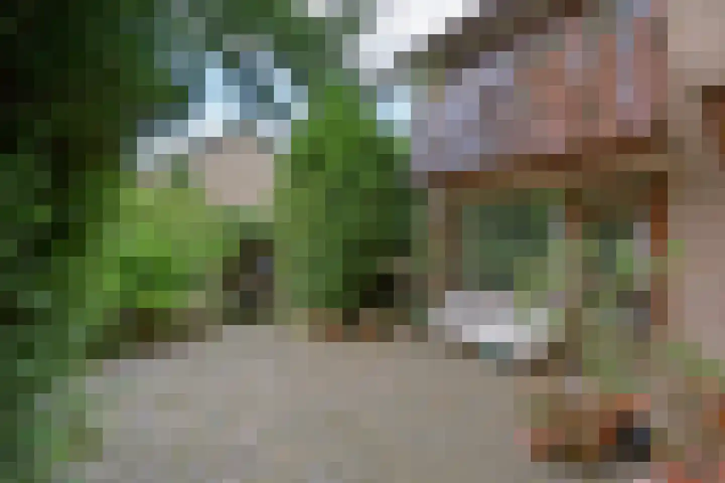 Jonkheer van Grotenhuisstraat 16 Groesbeek thumbnail 22