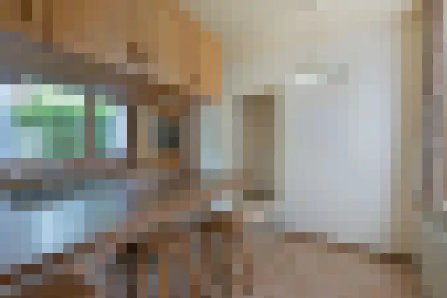 Jonkheer van Grotenhuisstraat 16 Groesbeek thumbnail 5