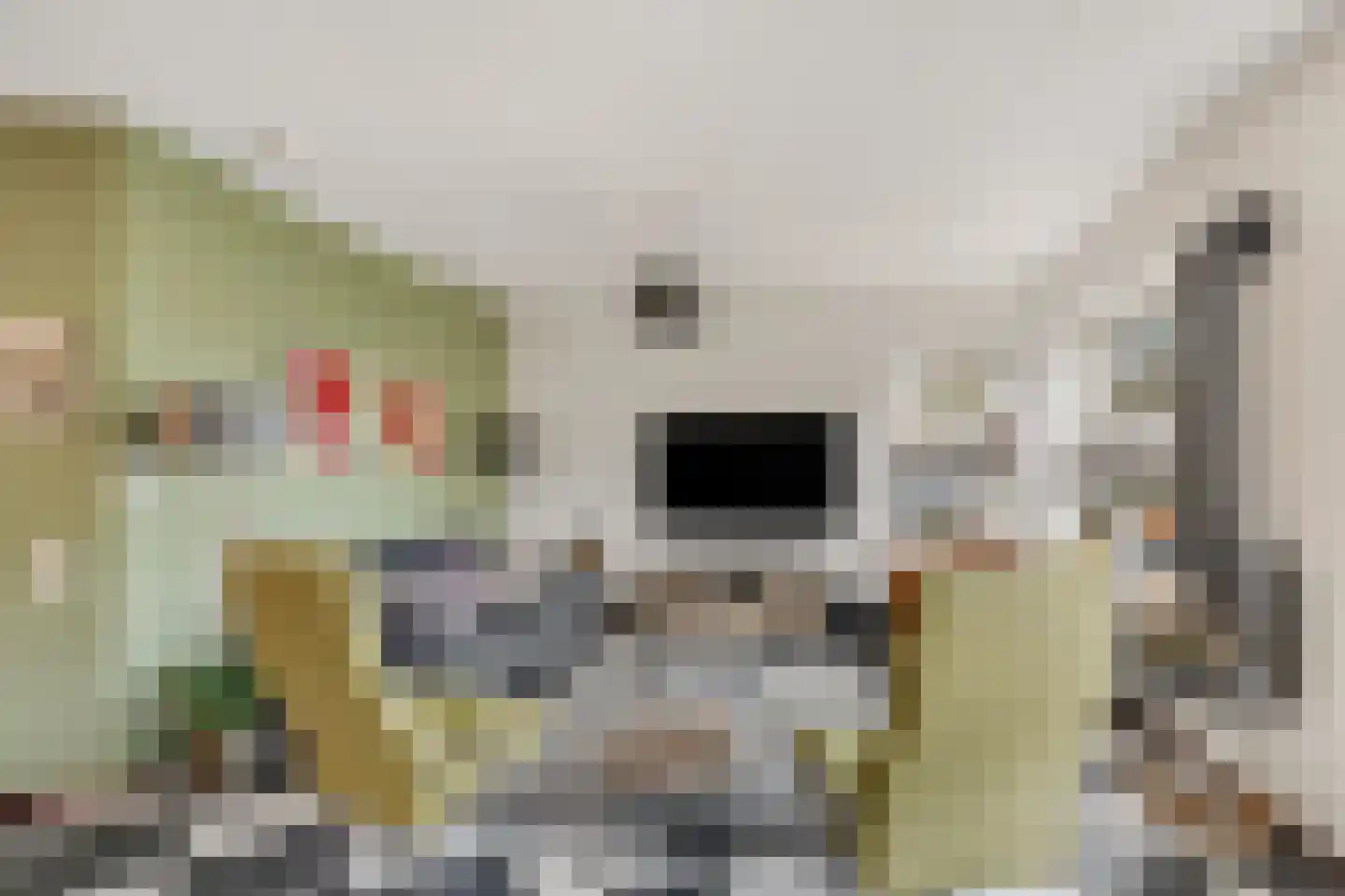 Jonkheer Van Pallandtln 4 Huissen thumbnail 11