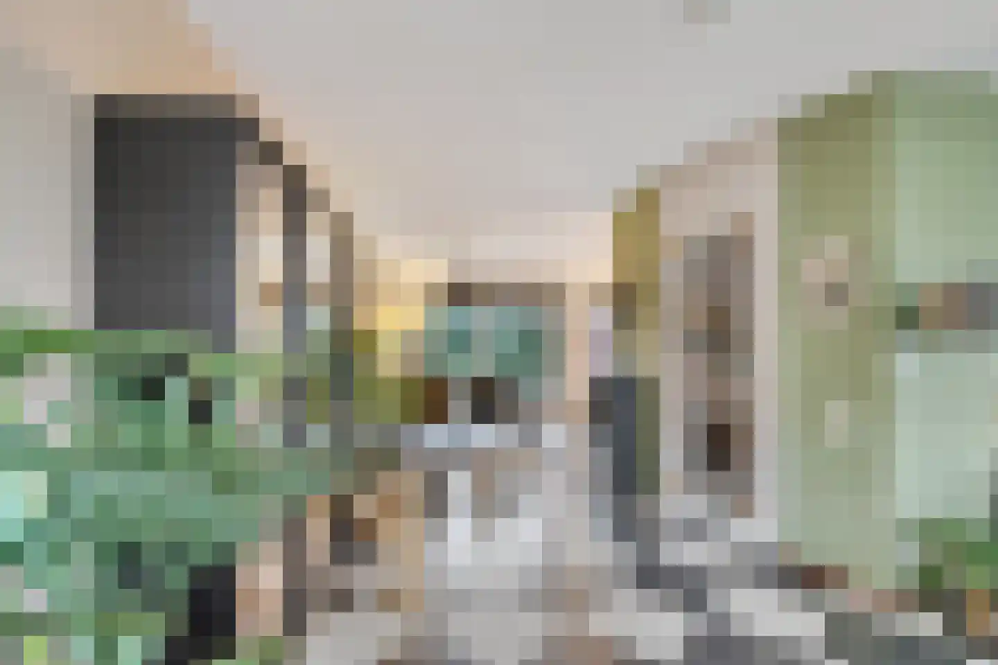 Jonkheer Van Pallandtln 4 Huissen thumbnail 12