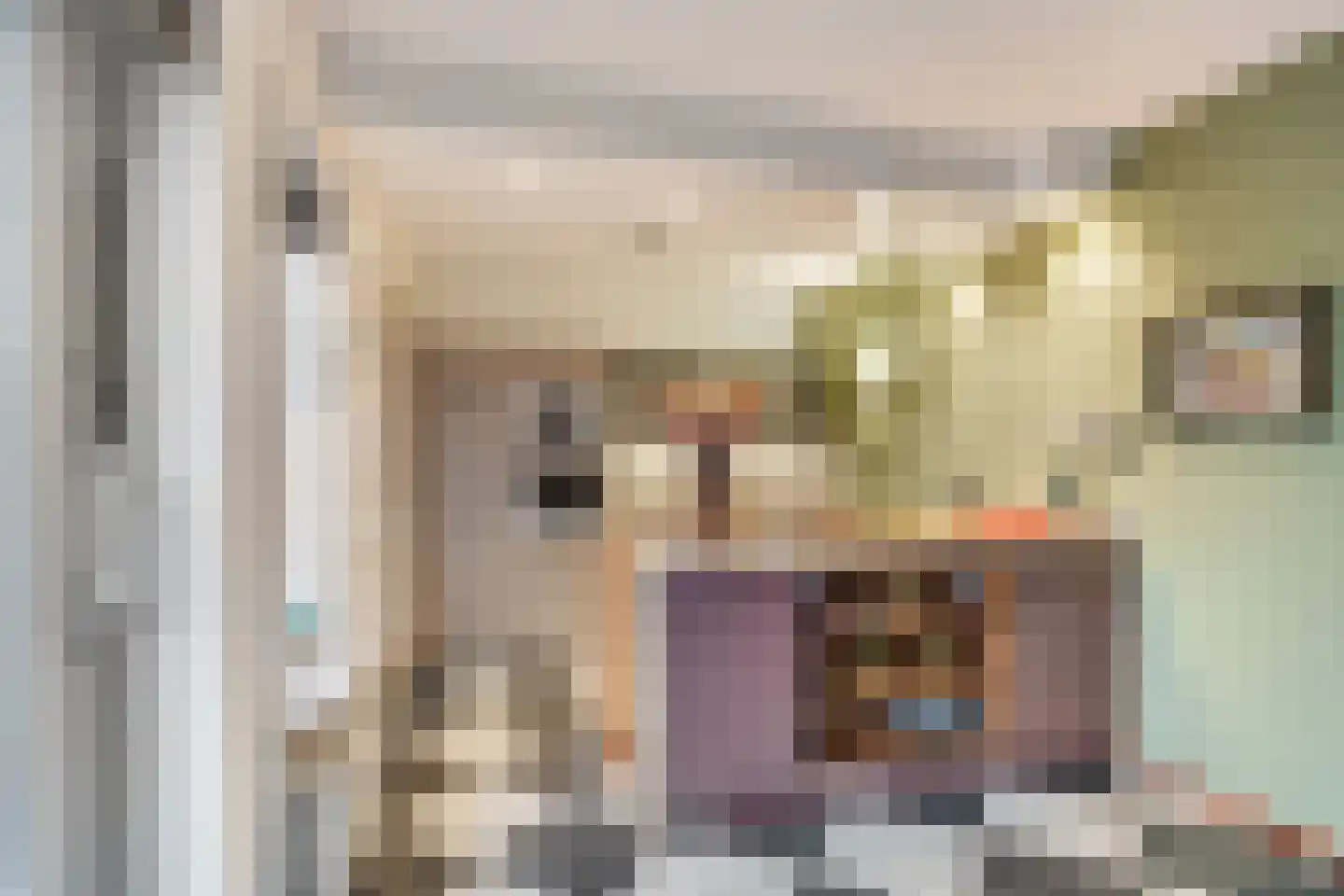 Jonkheer Van Pallandtln 4 Huissen thumbnail 14
