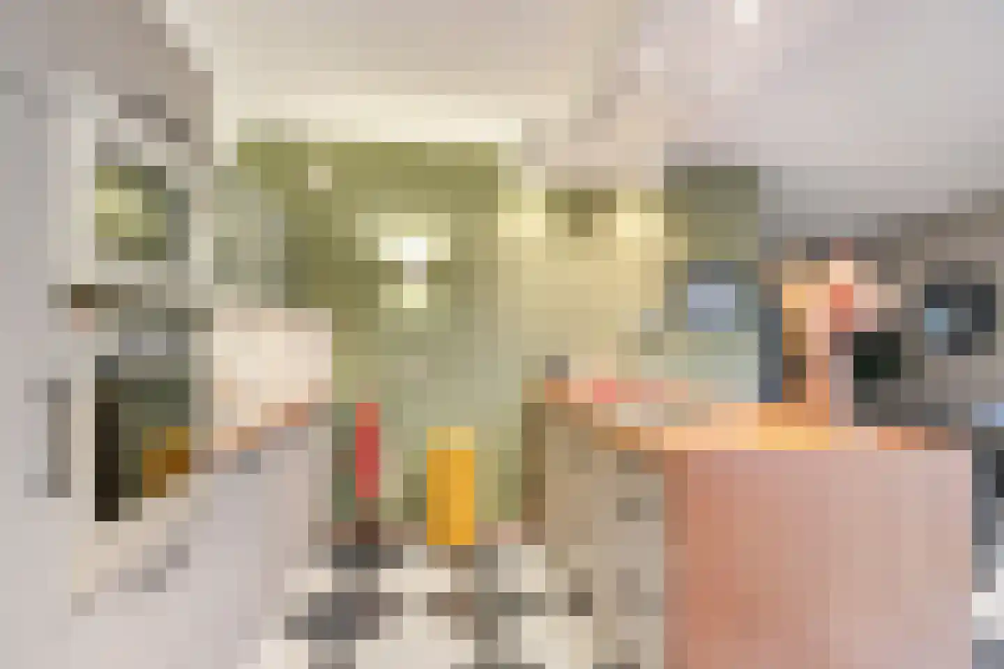 Jonkheer Van Pallandtln 4 Huissen thumbnail 16