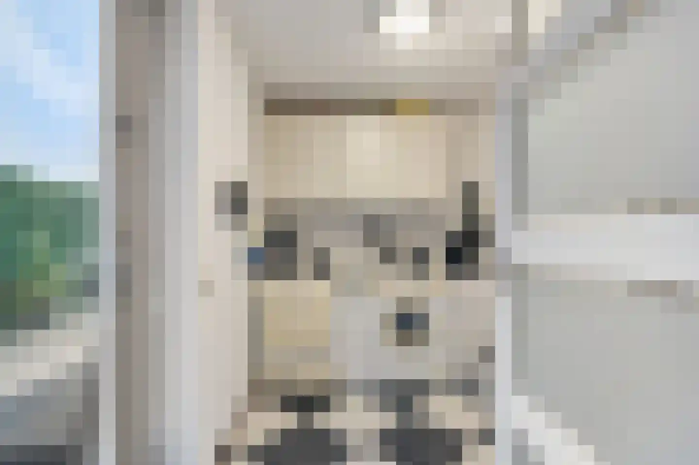 Jonkheer Van Pallandtln 4 Huissen thumbnail 17
