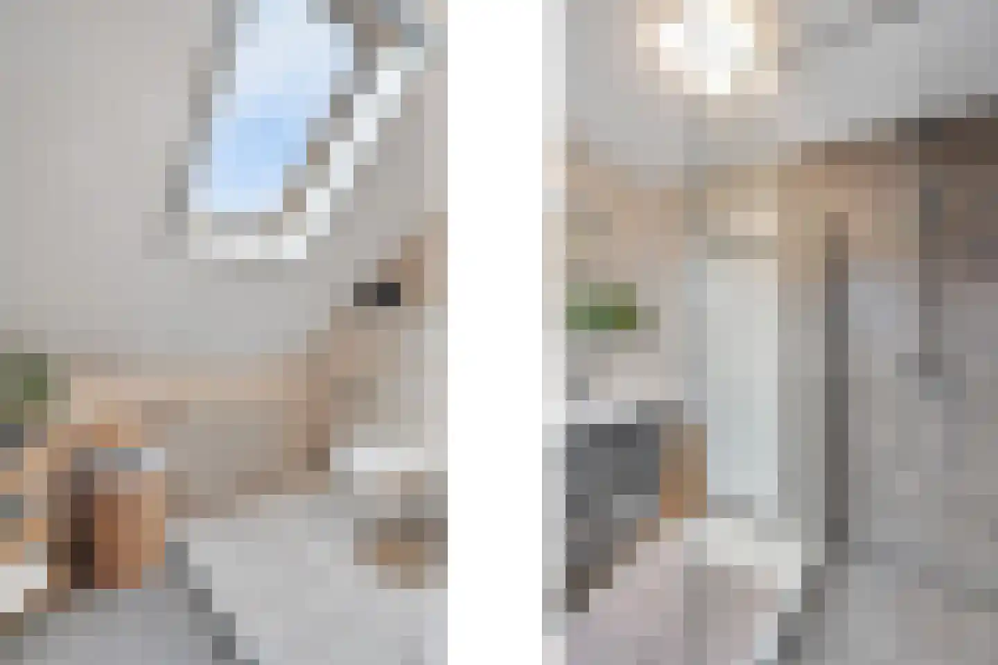 Jonkheer Van Pallandtln 4 Huissen thumbnail 23