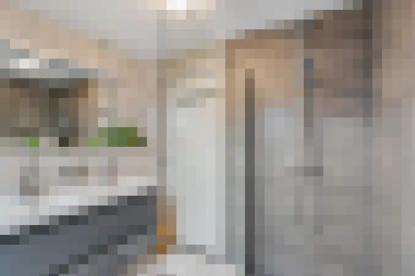 Jonkheer Van Pallandtln 4 Huissen thumbnail 24