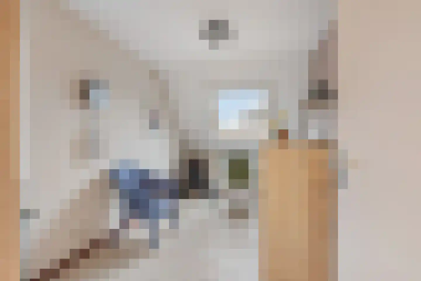 Jonkheer Van Pallandtln 4 Huissen thumbnail 27