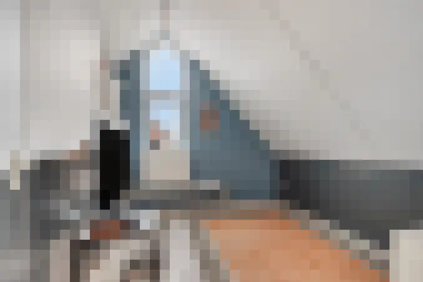 Jonkheer Van Pallandtln 4 Huissen thumbnail 29