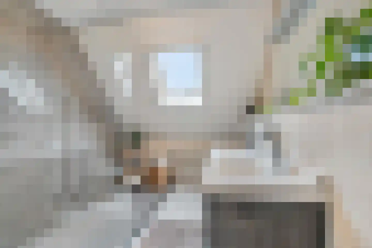 Jonkheer Van Pallandtln 4 Huissen foto 3