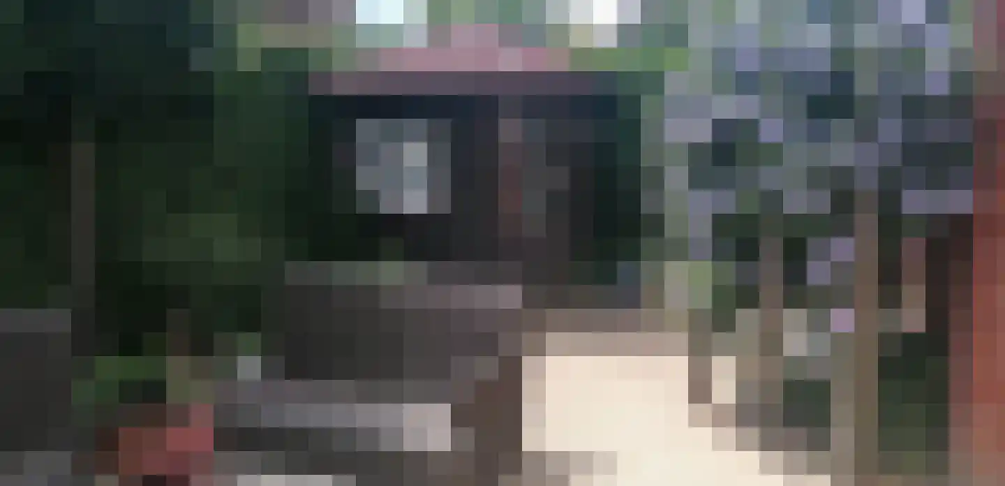 Jonkheer Van Pallandtln 4 Huissen thumbnail 35