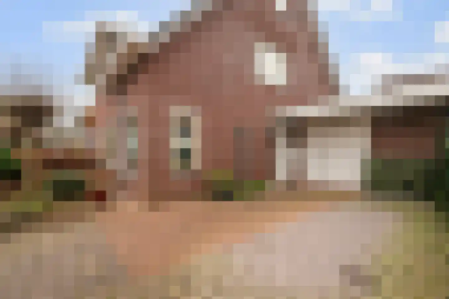 Jonkheer Van Pallandtln 4 Huissen thumbnail 4