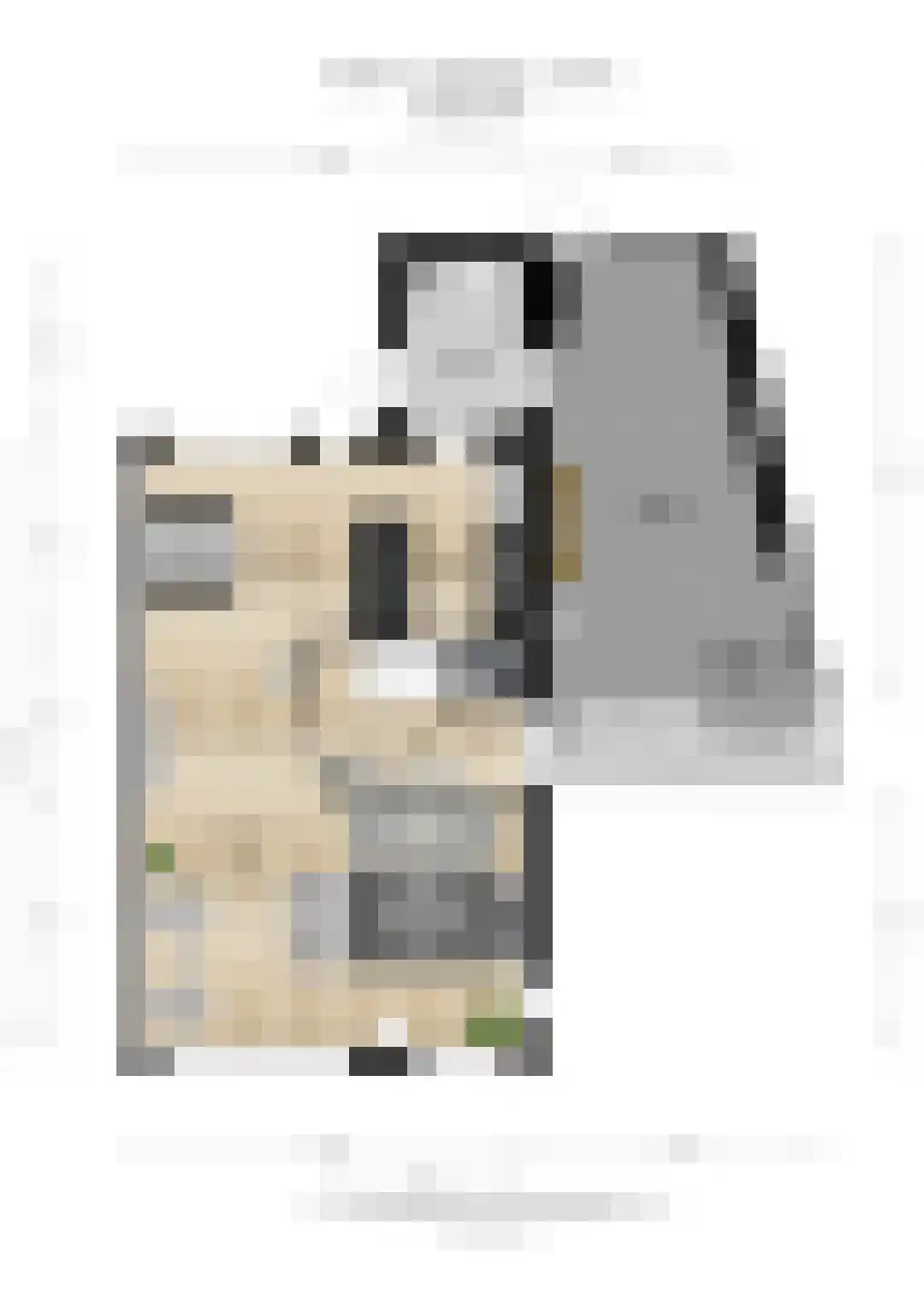Jonkheer Van Pallandtln 4 Huissen thumbnail 42