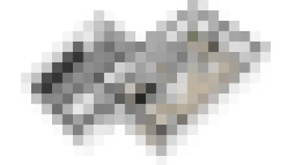 Jonkheer Van Pallandtln 4 Huissen thumbnail 43