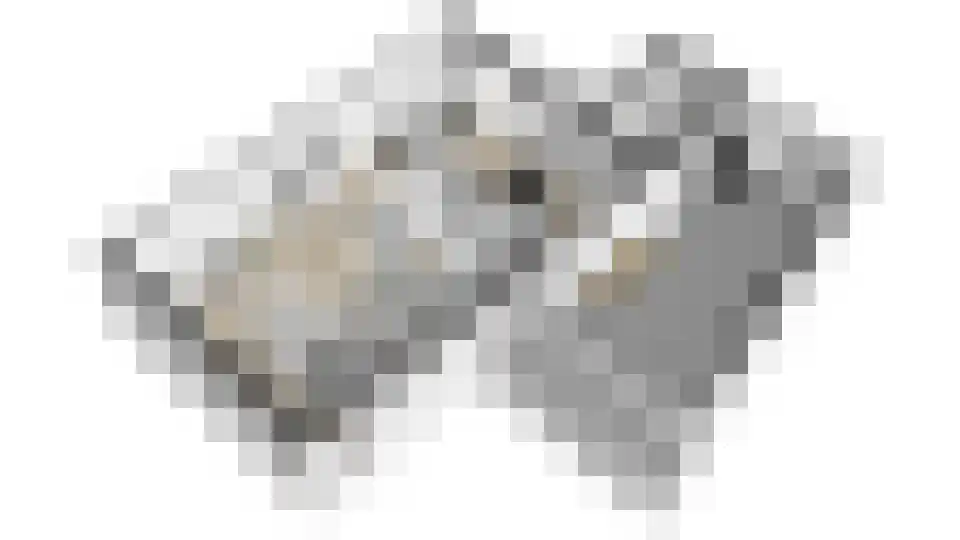 Jonkheer Van Pallandtln 4 Huissen thumbnail 44