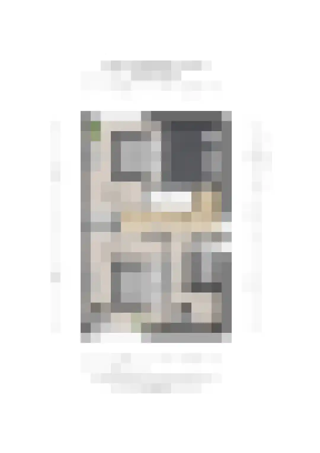 Jonkheer Van Pallandtln 4 Huissen thumbnail 45