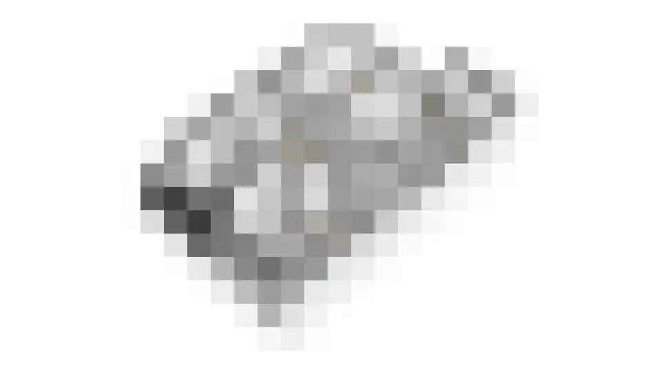 Jonkheer Van Pallandtln 4 Huissen thumbnail 46