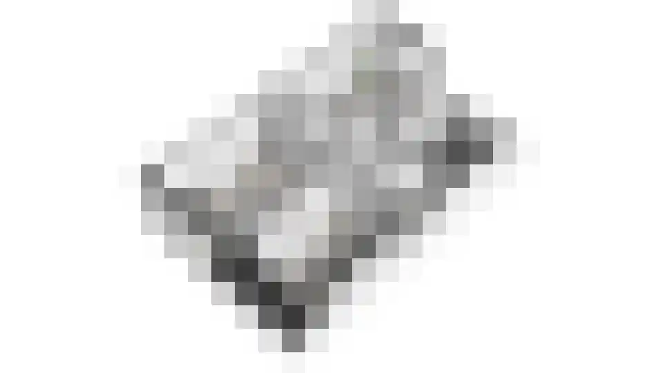 Jonkheer Van Pallandtln 4 Huissen thumbnail 47