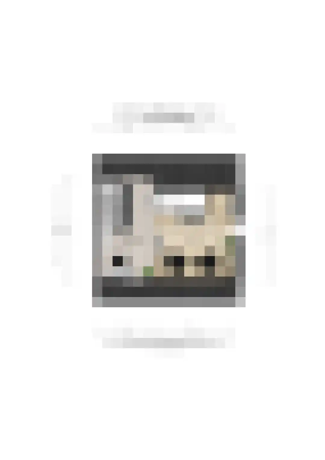 Jonkheer Van Pallandtln 4 Huissen thumbnail 48