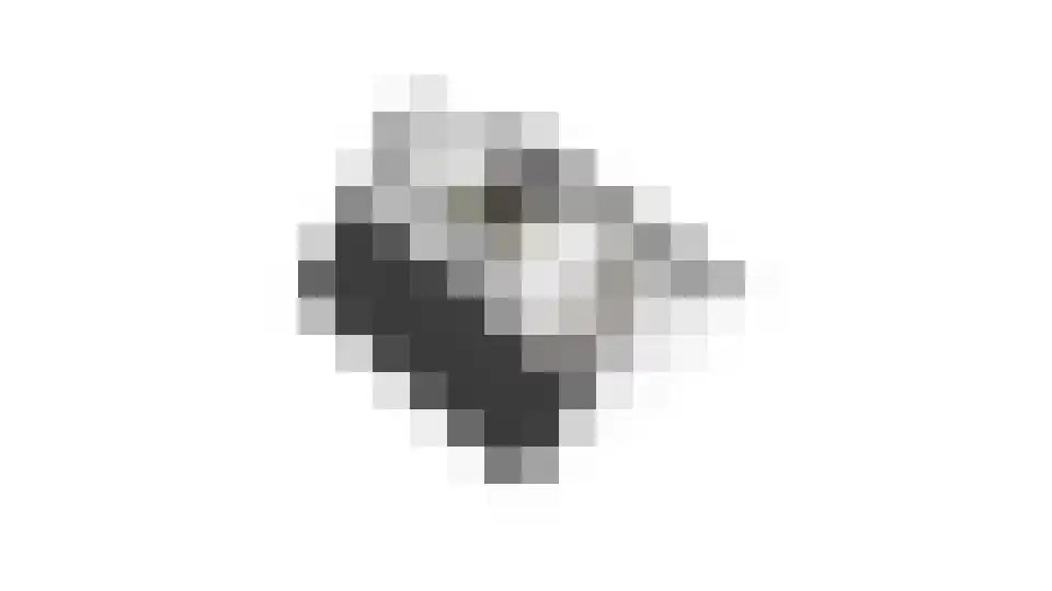 Jonkheer Van Pallandtln 4 Huissen thumbnail 49