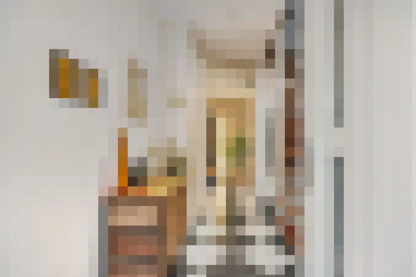 Jonkheer Van Pallandtln 4 Huissen thumbnail 5