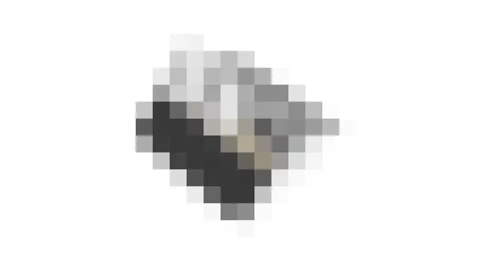 Jonkheer Van Pallandtln 4 Huissen thumbnail 50