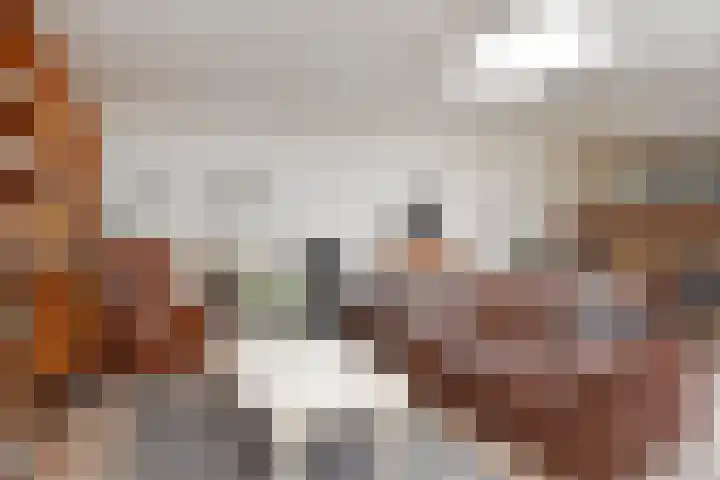 Jonkheer van Riemsdijklaan 86 Den Haag thumbnail 14