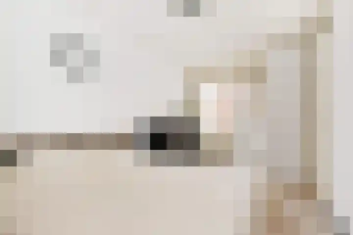 Jonkheer van Riemsdijklaan 86 Den Haag thumbnail 19