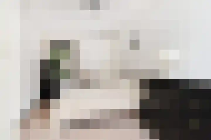 Jonkheer van Riemsdijklaan 86 Den Haag thumbnail 20