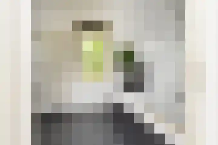 Jonkheer van Riemsdijklaan 86 Den Haag thumbnail 29