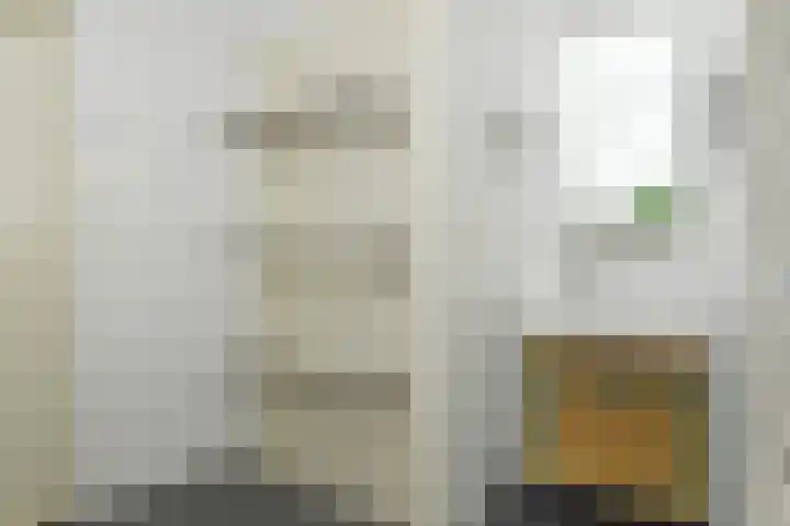 Jonkheer van Riemsdijklaan 86 Den Haag thumbnail 30