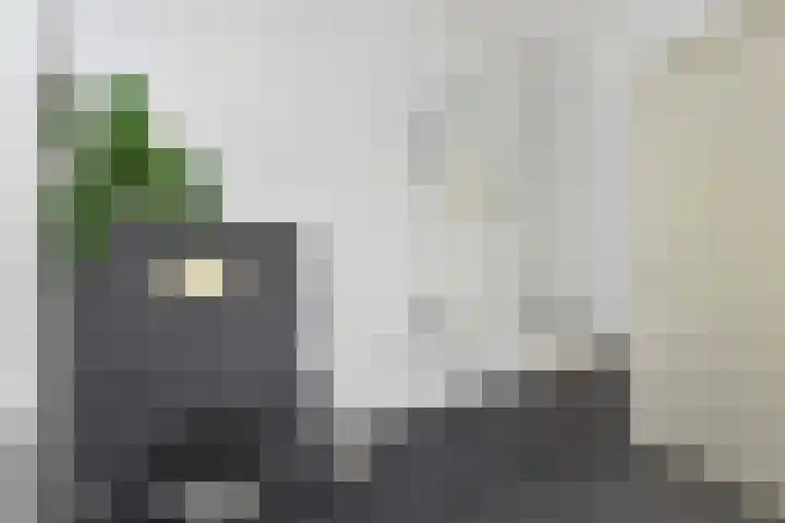 Jonkheer van Riemsdijklaan 86 Den Haag thumbnail 31