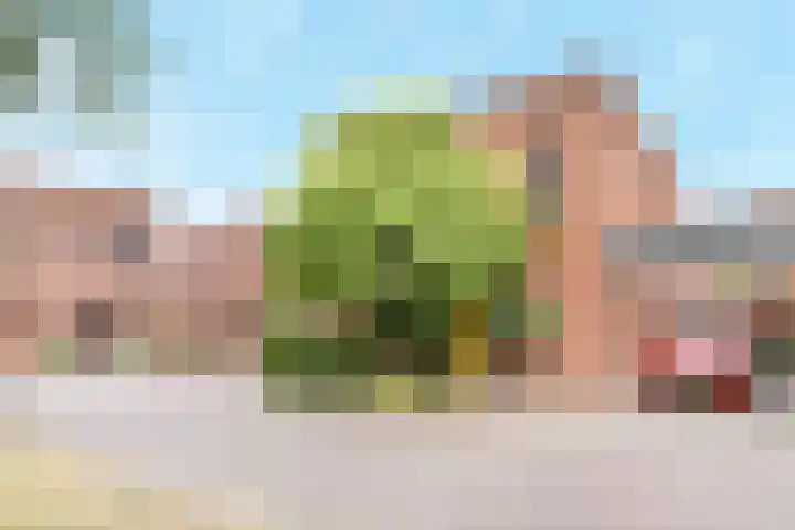 Jonkheer van Riemsdijklaan 86 Den Haag thumbnail 32