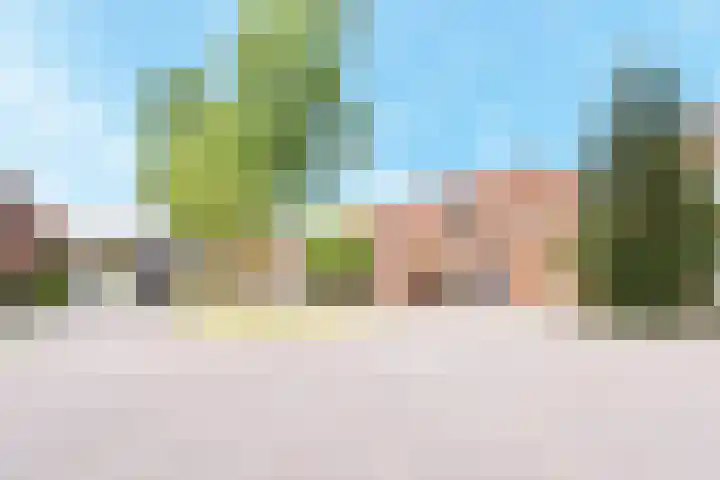 Jonkheer van Riemsdijklaan 86 Den Haag thumbnail 33