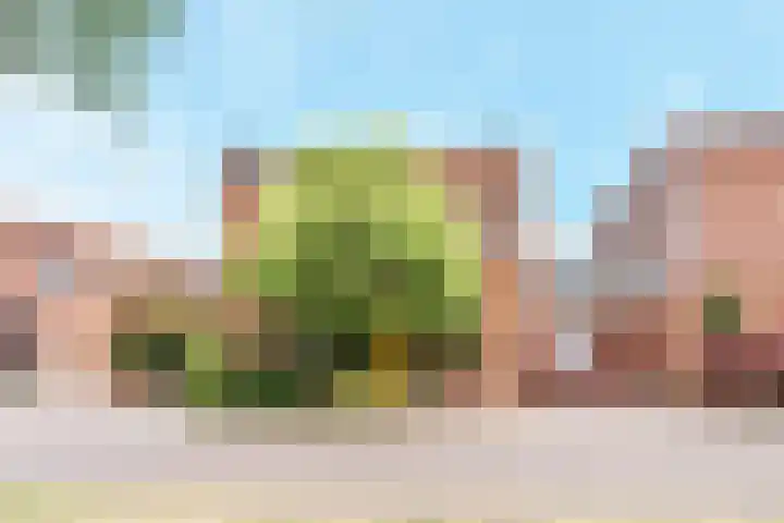 Jonkheer van Riemsdijklaan 86 Den Haag thumbnail 43