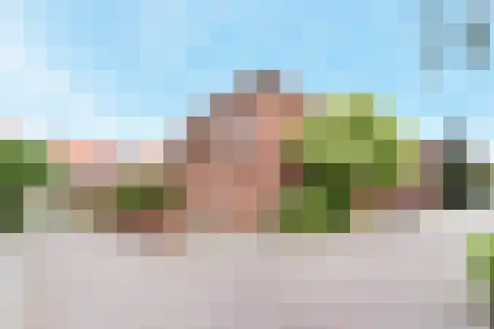 Jonkheer van Riemsdijklaan 86 Den Haag thumbnail 5