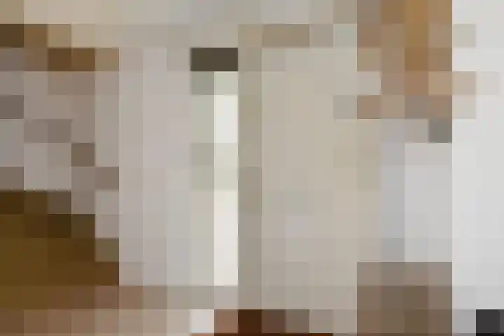 Jonkheer van Riemsdijklaan 86 Den Haag thumbnail 6