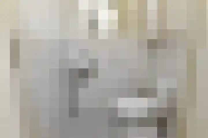 Jonkheer van Riemsdijklaan 86 Den Haag thumbnail 7